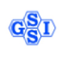 Global Social Science Institute Logo