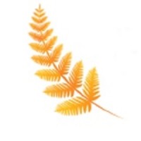 Brackenway Consulting Logo