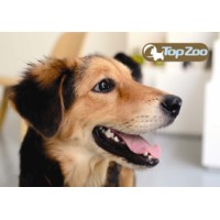 TopZoo Logo