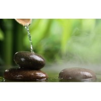 Anne Cornelissen Logo