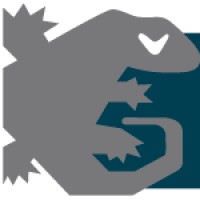 Nobus S.A. de C.V. Logo