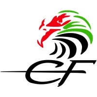 City Falcon Trading Logo
