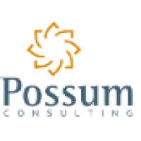 Possum Consulting Logo