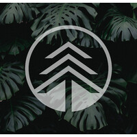 The Higher Path Collective Logo