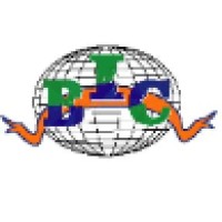 Brisk international cargo Inc Logo