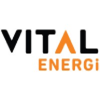 Vital Energi Utilities Limited Logo