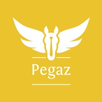 Pegaz Recruitment Ltd Logo