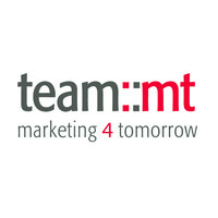 team::mt gmbh Logo