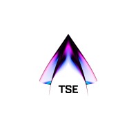 ThinkSOLN Corporation Logo