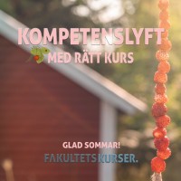 Stiftelsen Fakultetskurser Logo