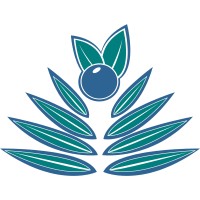 Palm Berries LLC Logo