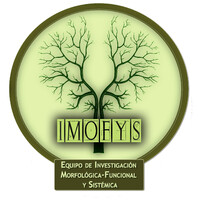 IMOFyS Logo