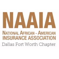 NAAIA Dallas Fort Worth Chapter Logo