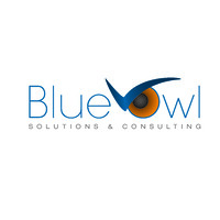 Blue Owl Solutions & Consulting Logo