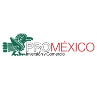 Proméxico España Consulting Logo