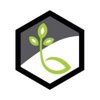 Life Bridge Capital Logo