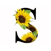 Sonflower Education Consulting Logo