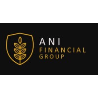 Ani Finanical Group Inc Logo