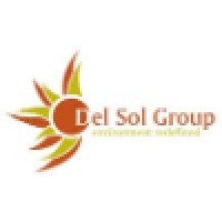 Del Sol Group Logo
