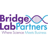 Bridge Lab Partners, LLC Logo