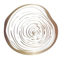 Cambium Enterprises Logo