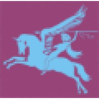 Pegasus Systems LLC Logo