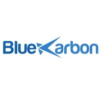 BlueKarbon Logo