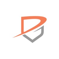Perigon Solutions LLC Logo