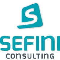 Sefini Consulting Logo