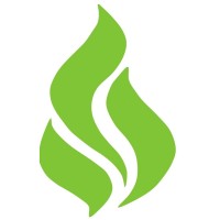 Reaction Analytic Solutions Corporation Logo