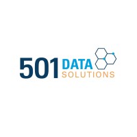 501 Data Solutions Logo