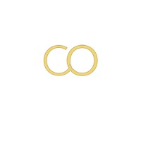 COZNECTION Logo