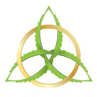 Point 3 Biotech Corp. Logo