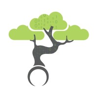Bonsai Data Solutions Logo