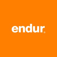 endur Logo