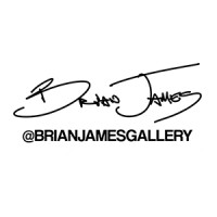 Brian James Gallery Photography Logo