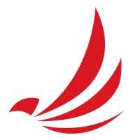 Bellawings Jet Logo