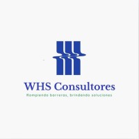 WHS Consultores, S.A. de C.V. Logo