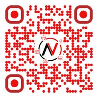 Netvoice Logo