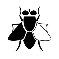 Surfly Oficial Logo