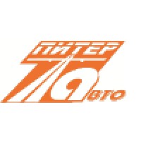 PITERAVTO Logo