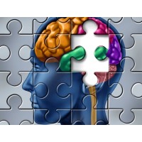 The Neuropsychological Evaluation and Therapeutic Center of Austin Logo