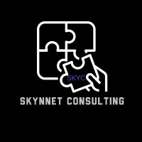 Skynnet Consulting Logo