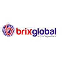 Brixglobal Europe ApS Logo