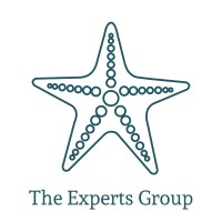 The Experts Group Logo
