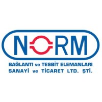 NORM FIXING Logo