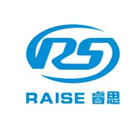 Raise Consulting Logo