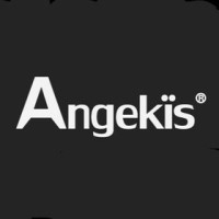 Angekis Technology Logo