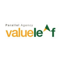 Valueleaf Services (India) Pvt. Ltd. Logo