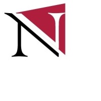 NV Consulting Services Logo